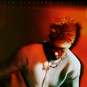 国产精品熟女视频一区二区
