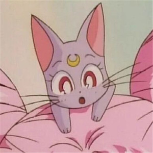 国产精品熟女视频一区二区
