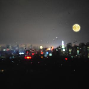 国产精品熟女视频一区二区
