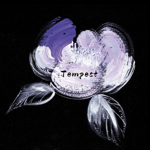 国产精品熟女视频一区二区
